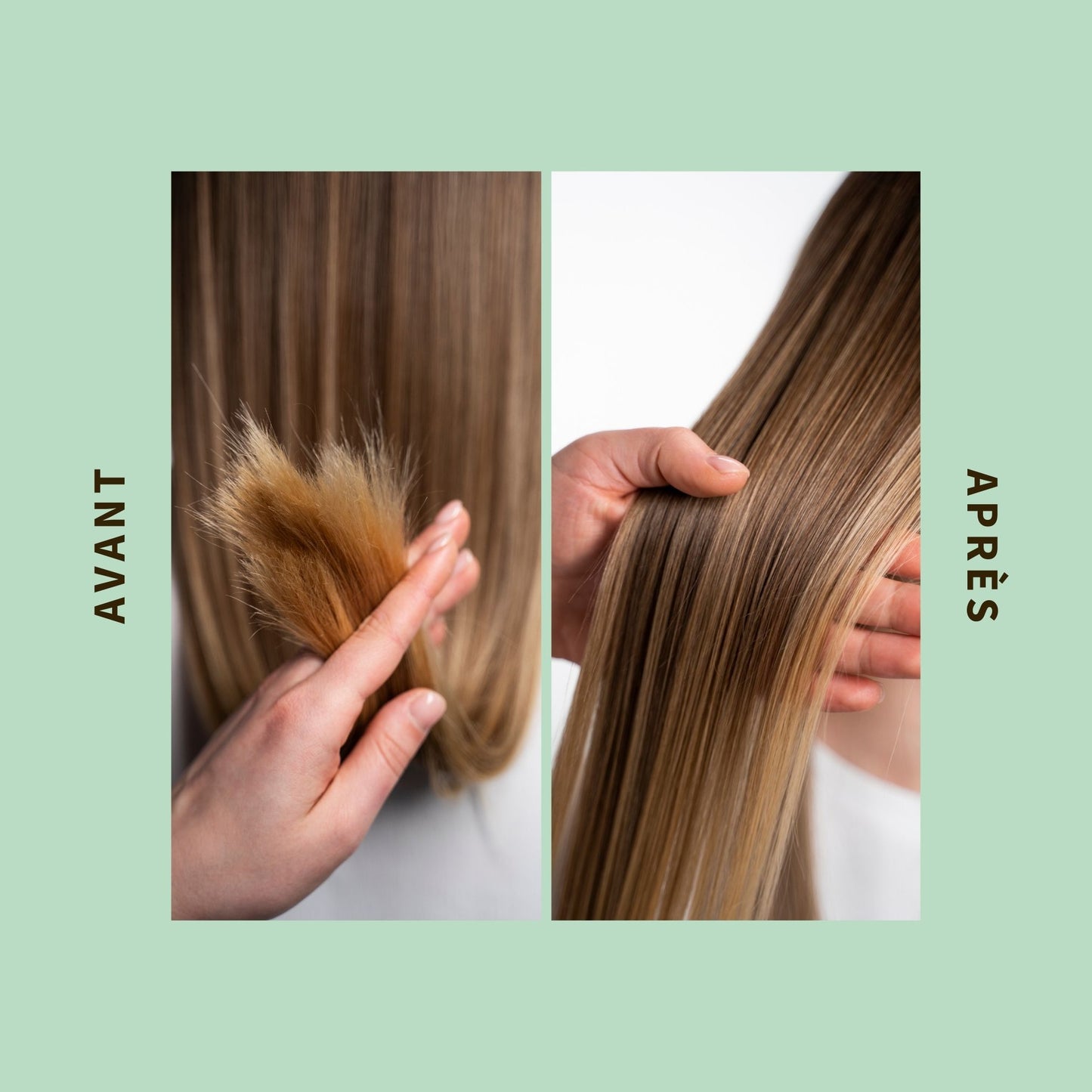 Nourishing shampoo with prickly pear seed oil