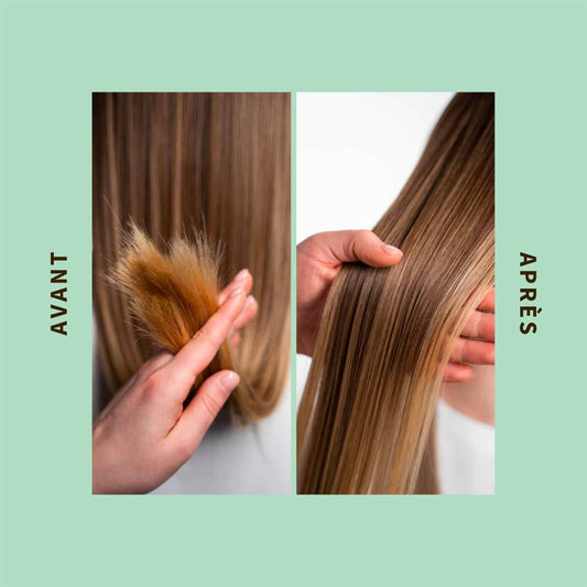 Purifying Shampoo with Prickly Pear – Oily-Prone Hair